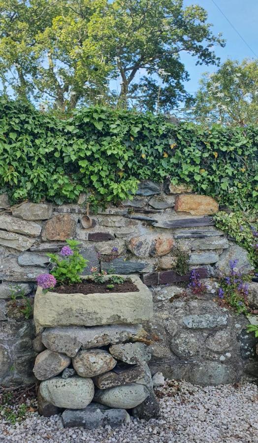 Green Cottage - Snowdonia Llanllechid Zewnętrze zdjęcie